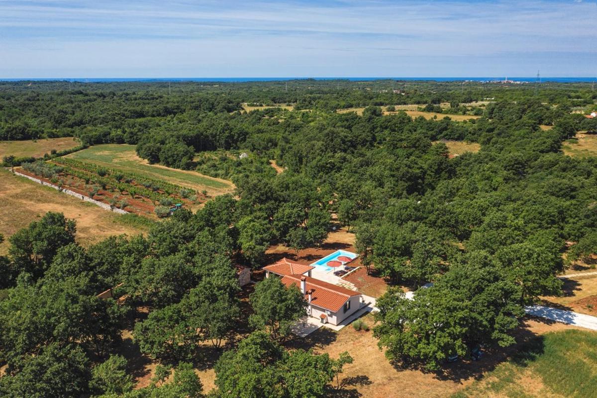Villa Martinetinka Vodnjan Exterior photo