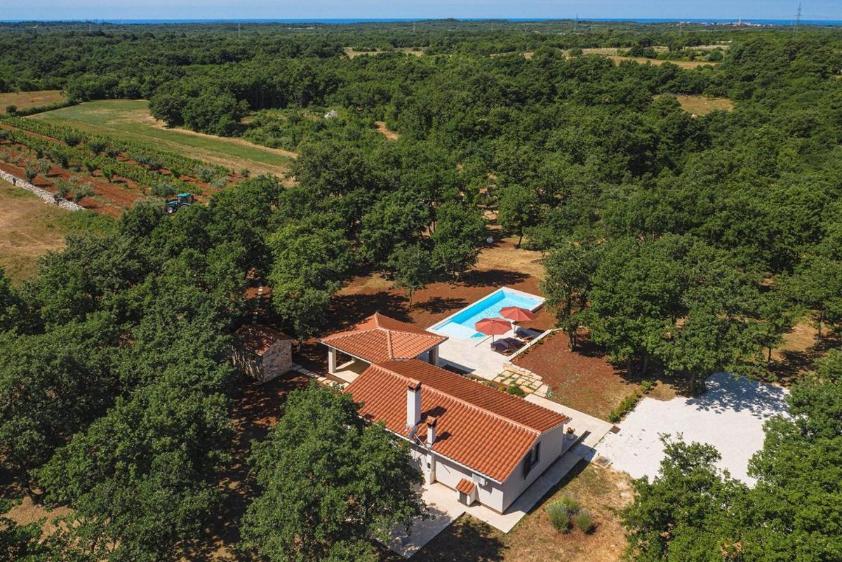 Villa Martinetinka Vodnjan Exterior photo